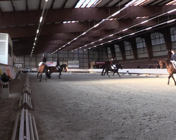 Reitturnier Kreuztal 2017