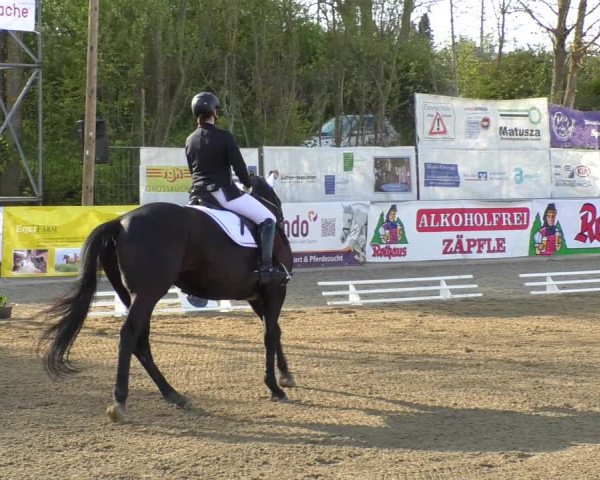 Reitturnier Rottweil 2017