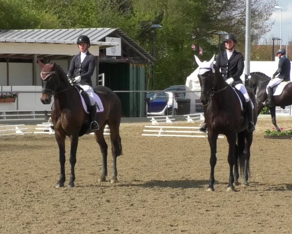 Reitturnier Rottweil 2017