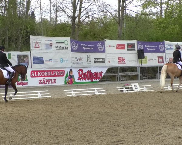 Reitturnier Rottweil 2017