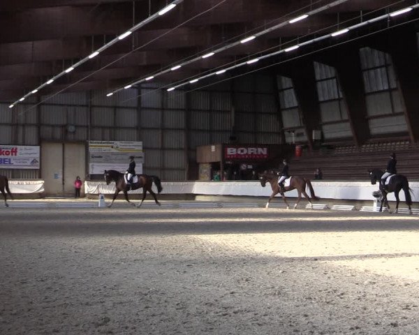 Reitturnier Kreuztal 2017