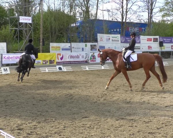 Reitturnier Rottweil 2017