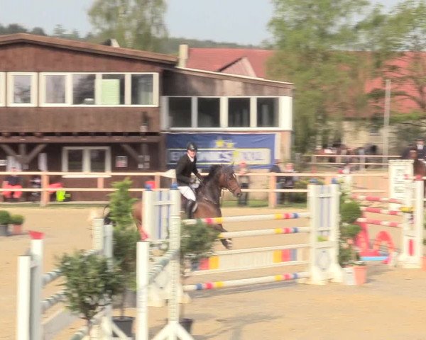 Reitturnier Niederbergheim 2017