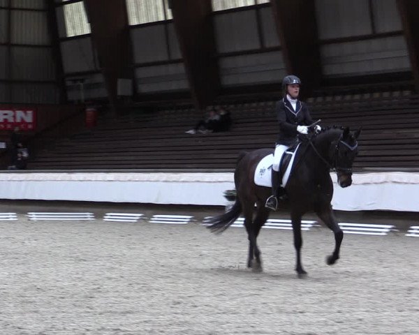 Reitturnier Kreuztal 2017