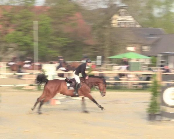 Reitturnier Niederbergheim 2017