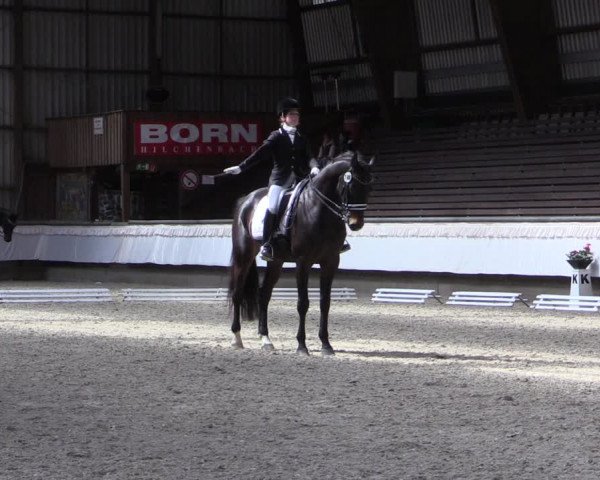 Reitturnier Kreuztal 2017