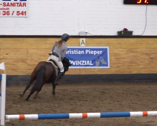 Reitturnier Heide 2021