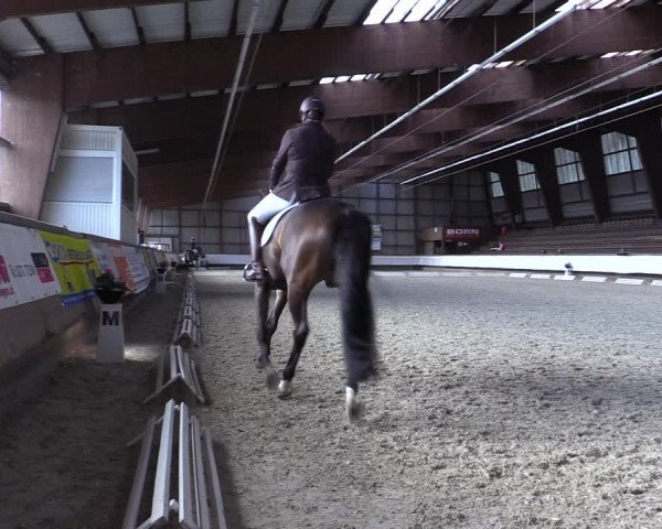 Reitturnier Kreuztal 2017