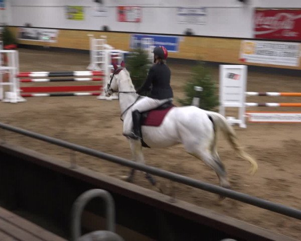 Reitturnier Heide 2021