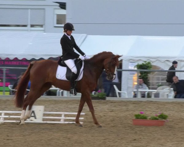 Reitturnier Rottweil 2017