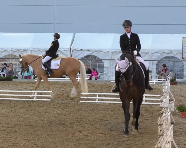 Reitturnier Rottweil 2017