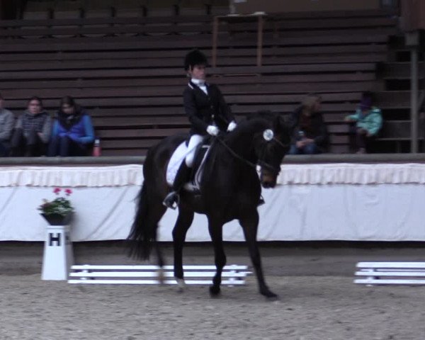 Reitturnier Kreuztal 2017