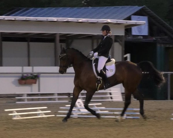 Reitturnier Rottweil 2017