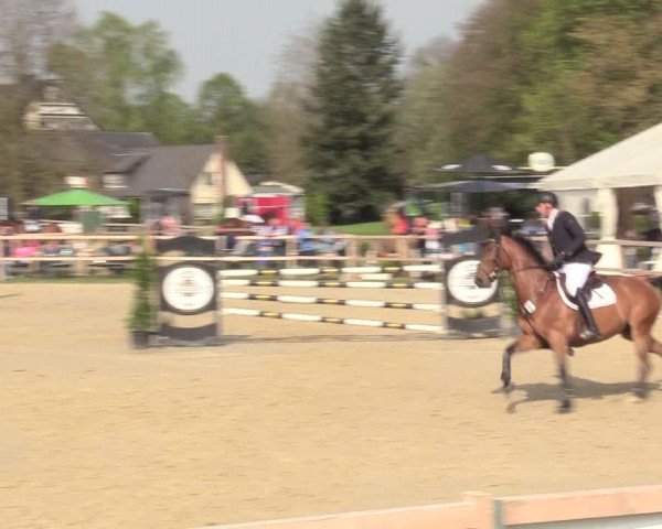 Reitturnier Niederbergheim 2017