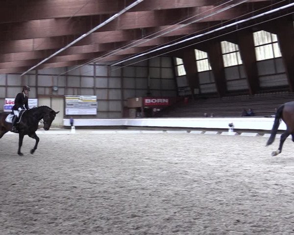 Reitturnier Kreuztal 2017