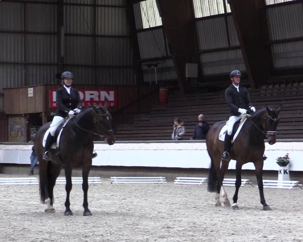 Reitturnier Kreuztal 2017