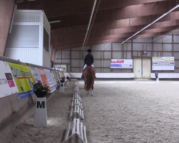 Reitturnier Kreuztal 2017