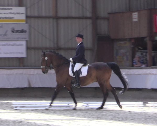 Reitturnier Kreuztal 2017