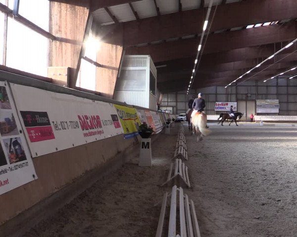 Reitturnier Kreuztal 2017