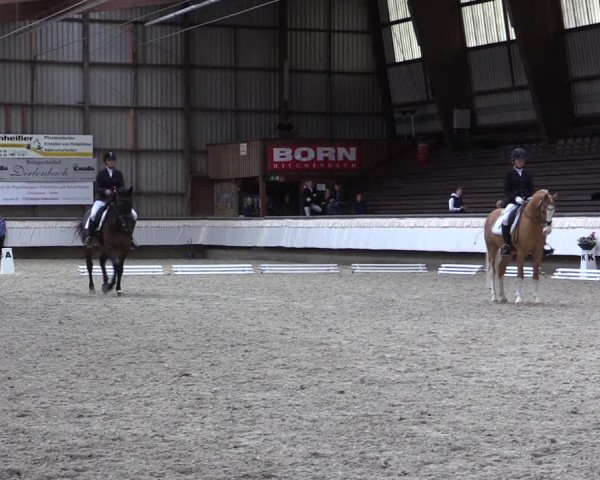 Reitturnier Kreuztal 2017