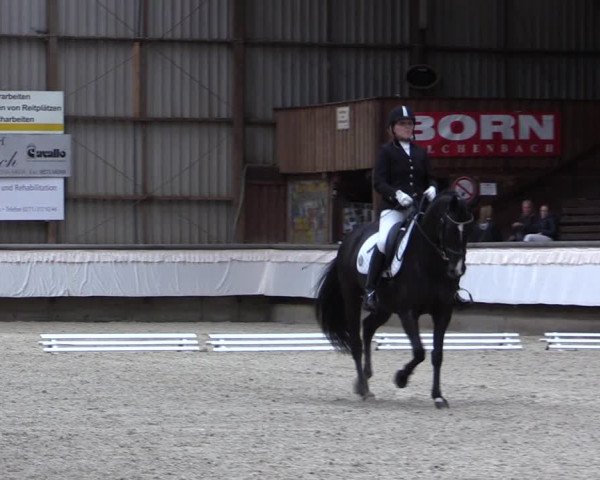 Reitturnier Kreuztal 2017