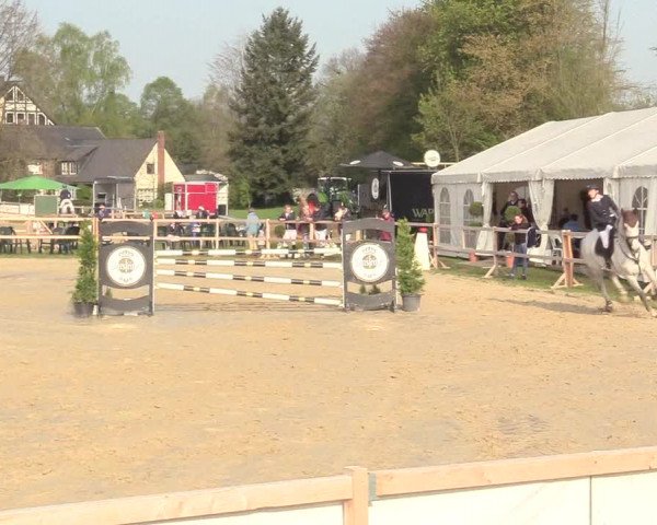Reitturnier Niederbergheim 2017