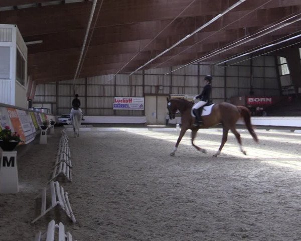 Reitturnier Kreuztal 2017