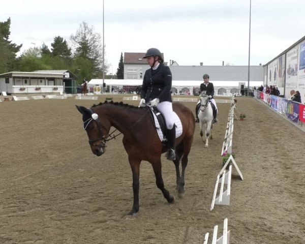 Reitturnier Rottweil 2017