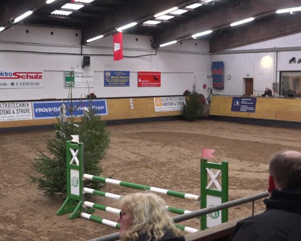 Reitturnier Heide 2021
