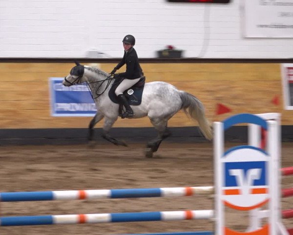 Reitturnier Heide 2021