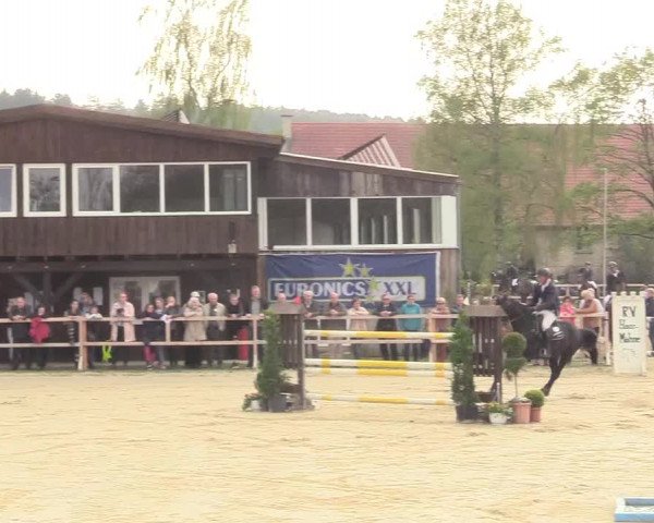 Reitturnier Niederbergheim 2017