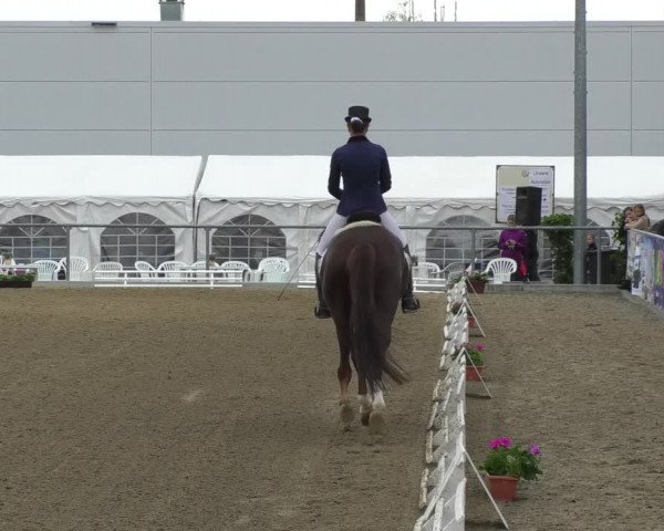 Reitturnier Rottweil 2017
