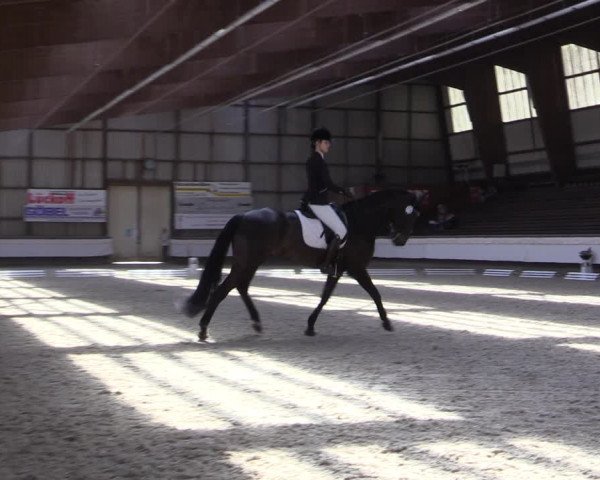 Reitturnier Kreuztal 2017