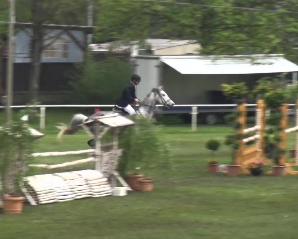 Reitturnier Greppin 2017