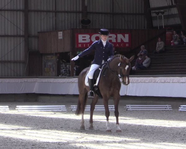 Reitturnier Kreuztal 2017