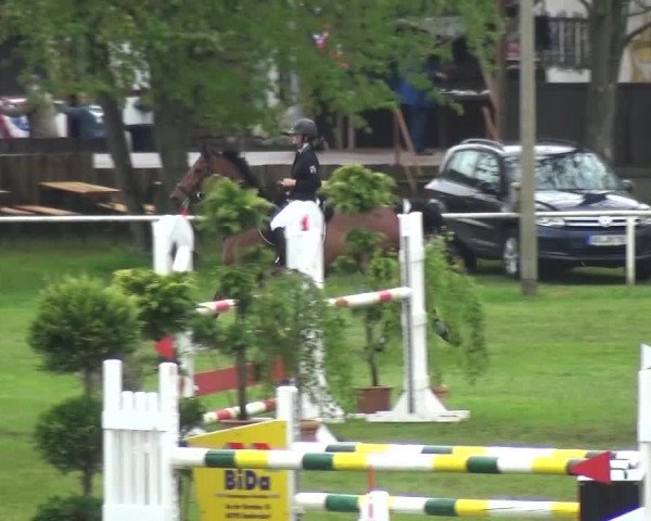 Reitturnier Greppin 2017