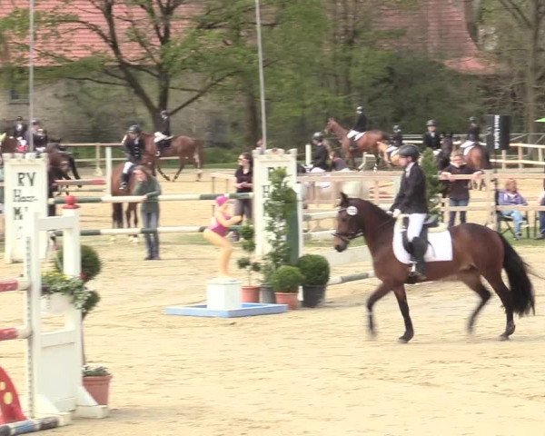 Reitturnier Niederbergheim 2017