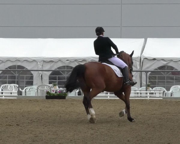Reitturnier Rottweil 2017