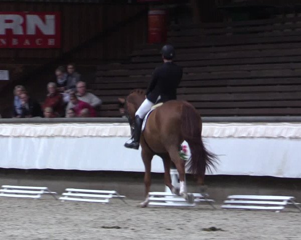 Reitturnier Kreuztal 2017