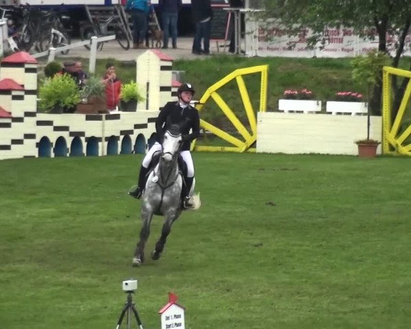 Reitturnier Greppin 2017