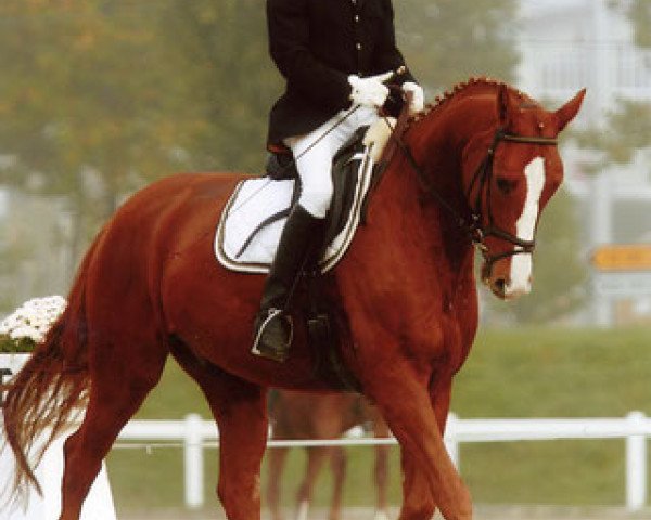jumper Goldbach Angelo CH (Swiss Warmblood, 2003, from Abanos)