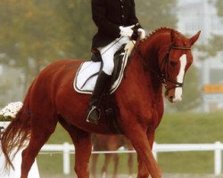 jumper Goldbach Angelo CH (Swiss Warmblood, 2003, from Abanos)