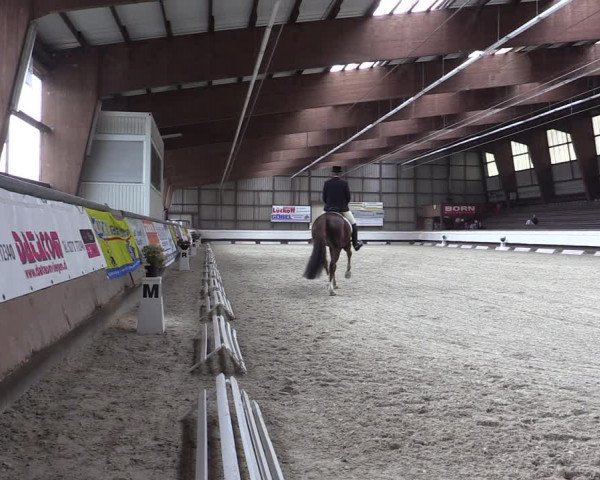 Reitturnier Kreuztal 2017