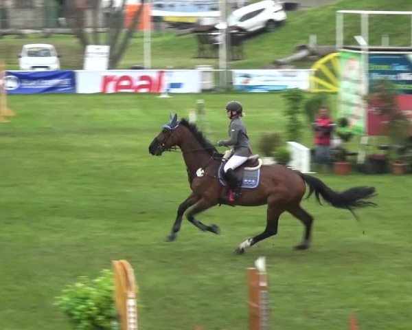Reitturnier Greppin 2017