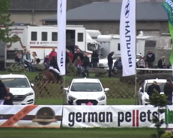 Reitturnier Greppin 2017