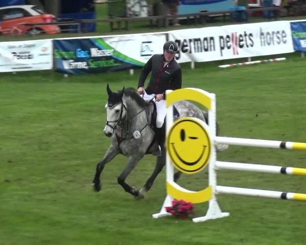 Reitturnier Greppin 2017