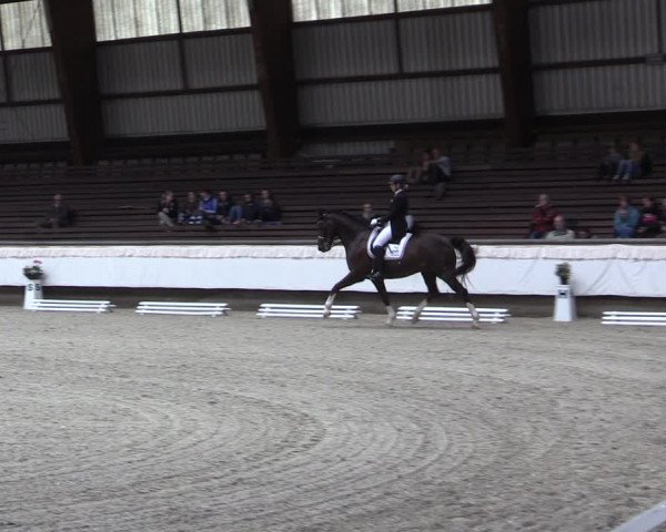 Reitturnier Kreuztal 2017