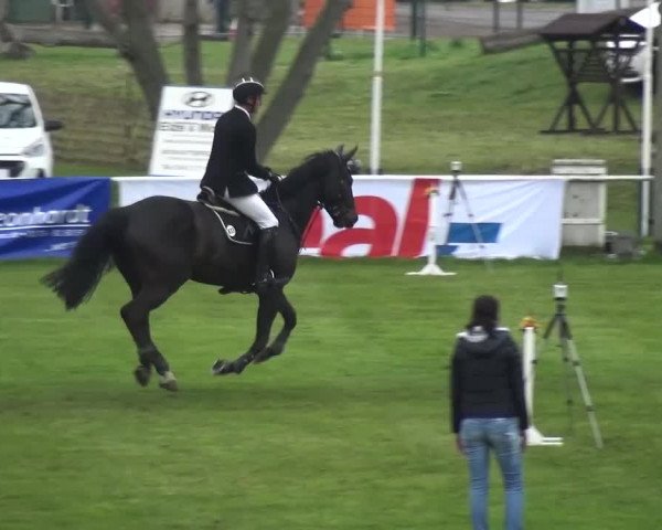 Reitturnier Greppin 2017