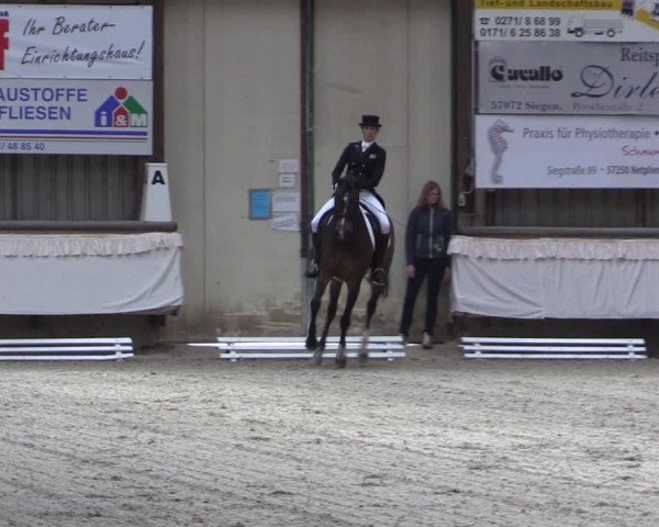 Reitturnier Kreuztal 2017