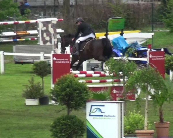 Reitturnier Greppin 2017